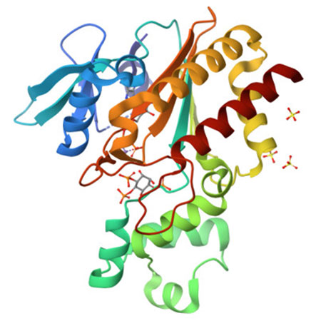 IM_ProteinStructure1000XALOC
