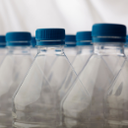 DEVELOPMENT OF A NEW ENZYME FOR THE RECYCLING OF PET PLASTIC WASTE INTO NEW BOTTLES