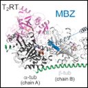 SYNCHROTRON LIGHT PROVES THE EFFECTIVENESS OF SEVERAL DRUGS IN VIRUS INFECTIONS LIKE SARS-CoV2