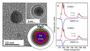 A step forward in understanding magnetic Co/CoO nanostructures